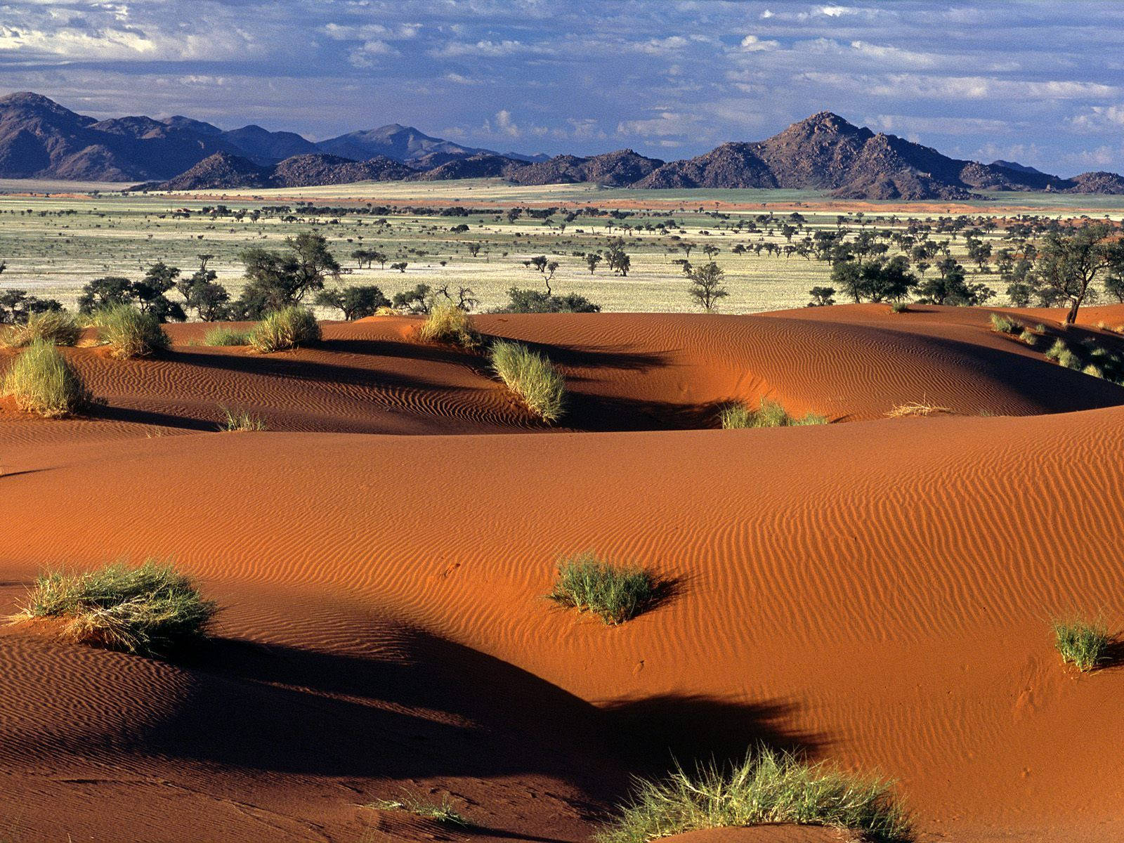 Namibia Hiking Trails With Grass Wallpaper