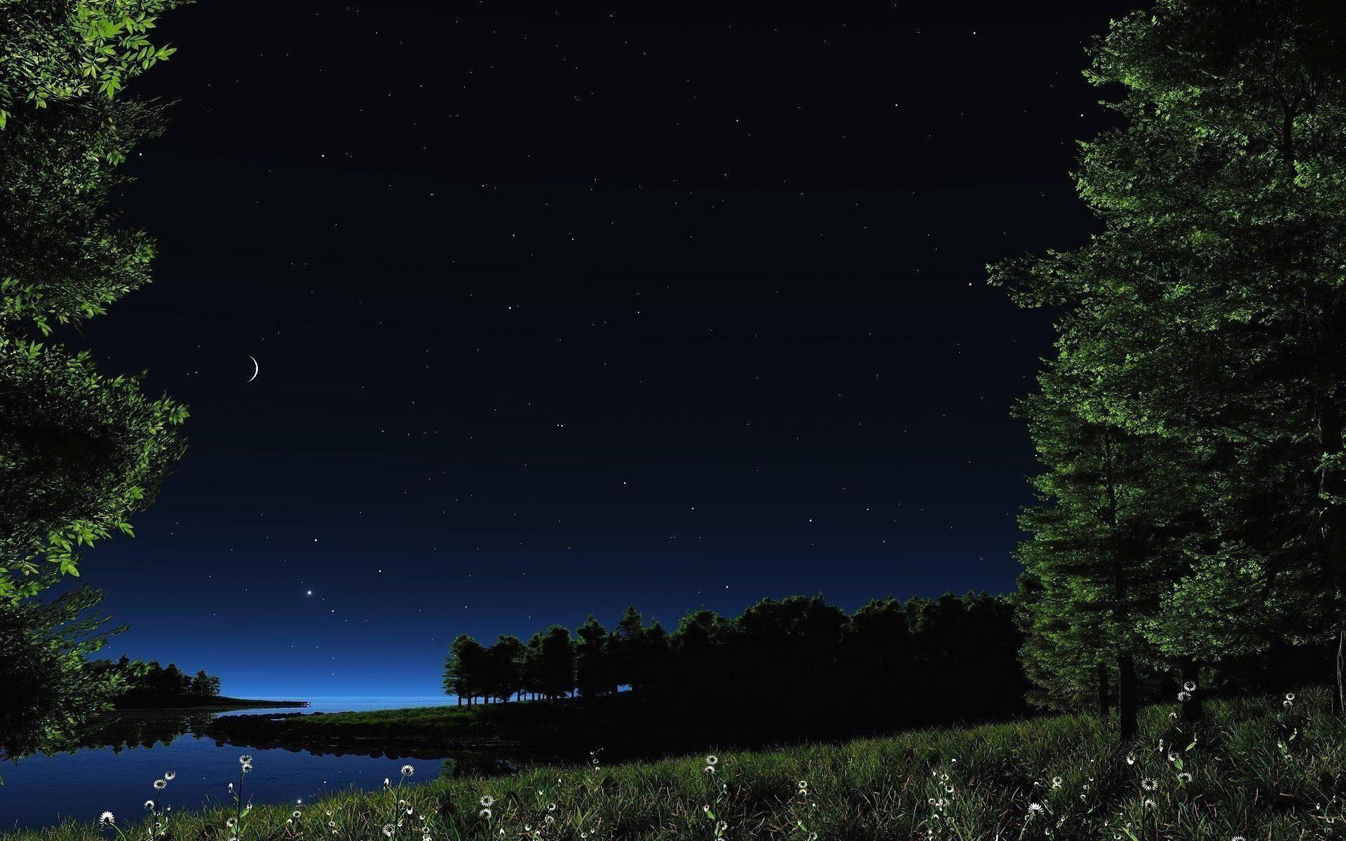 Natural Grass Field Under Starry Sky Wallpaper