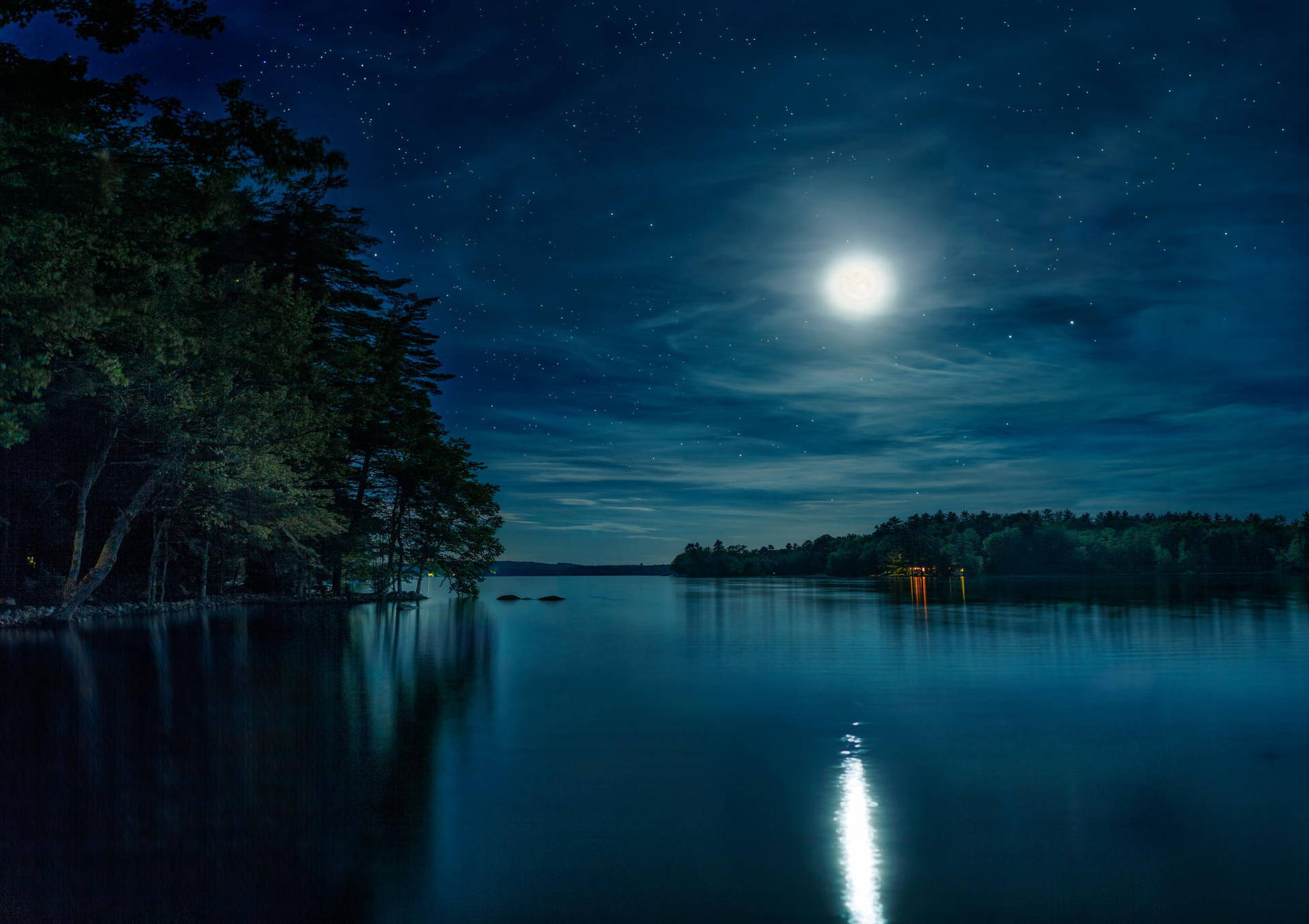 Natural Mangrove With Full Moon Wallpaper