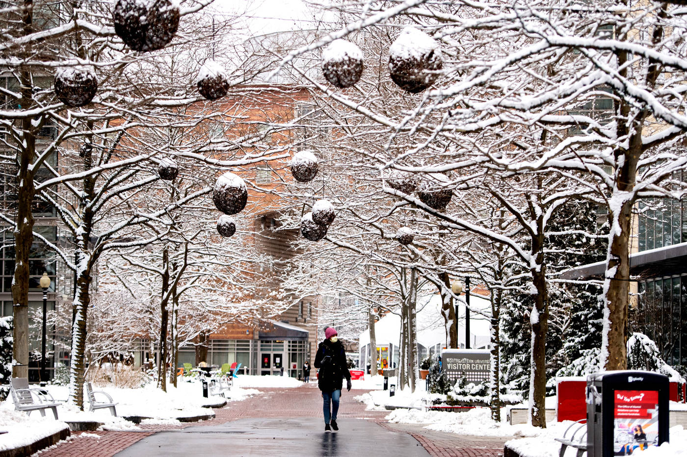 Northeastern University Snowy Path Wallpaper