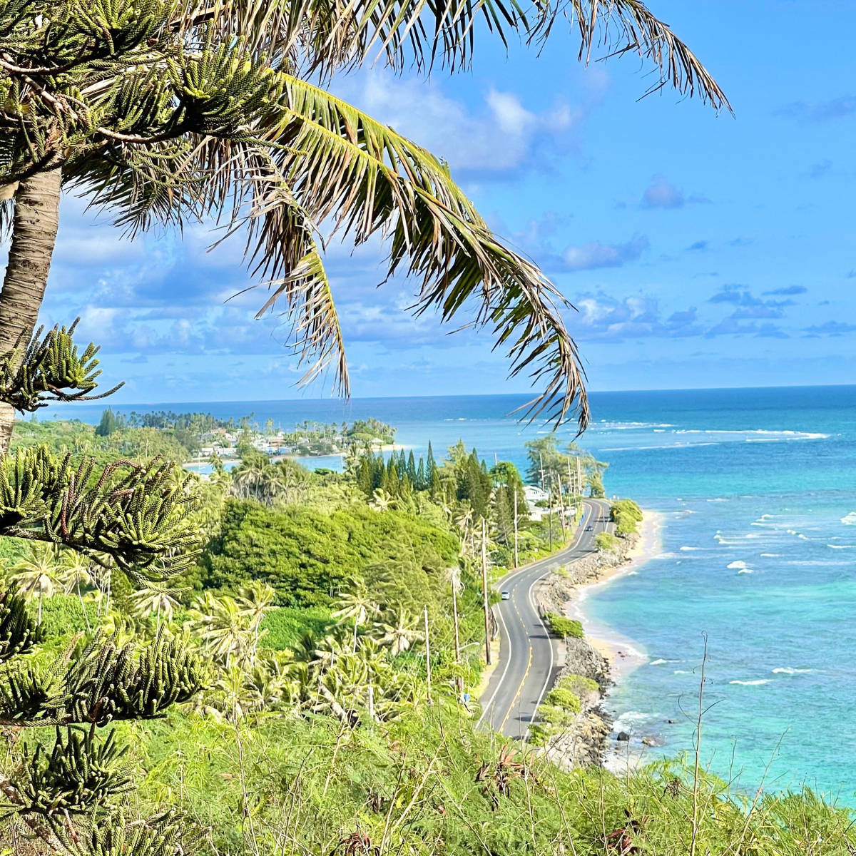 Oahu Road By Sea Wallpaper