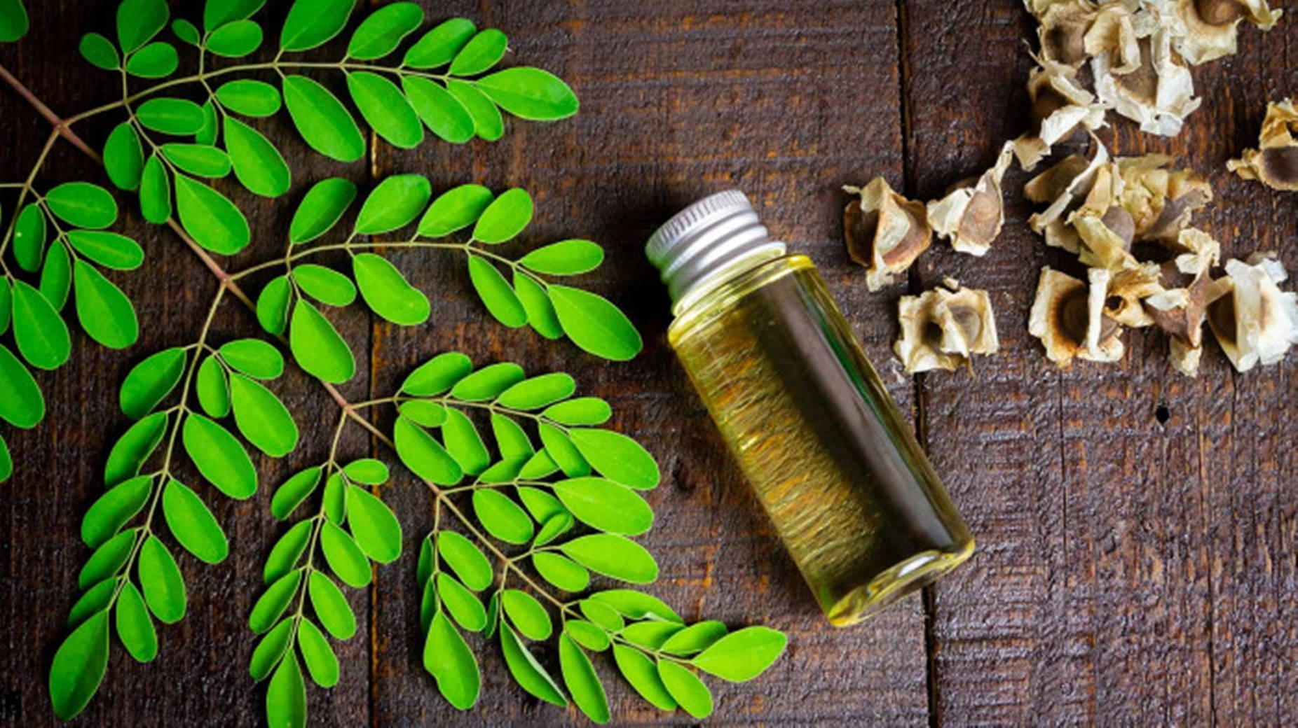 Oil From Moringa Leaves Wallpaper