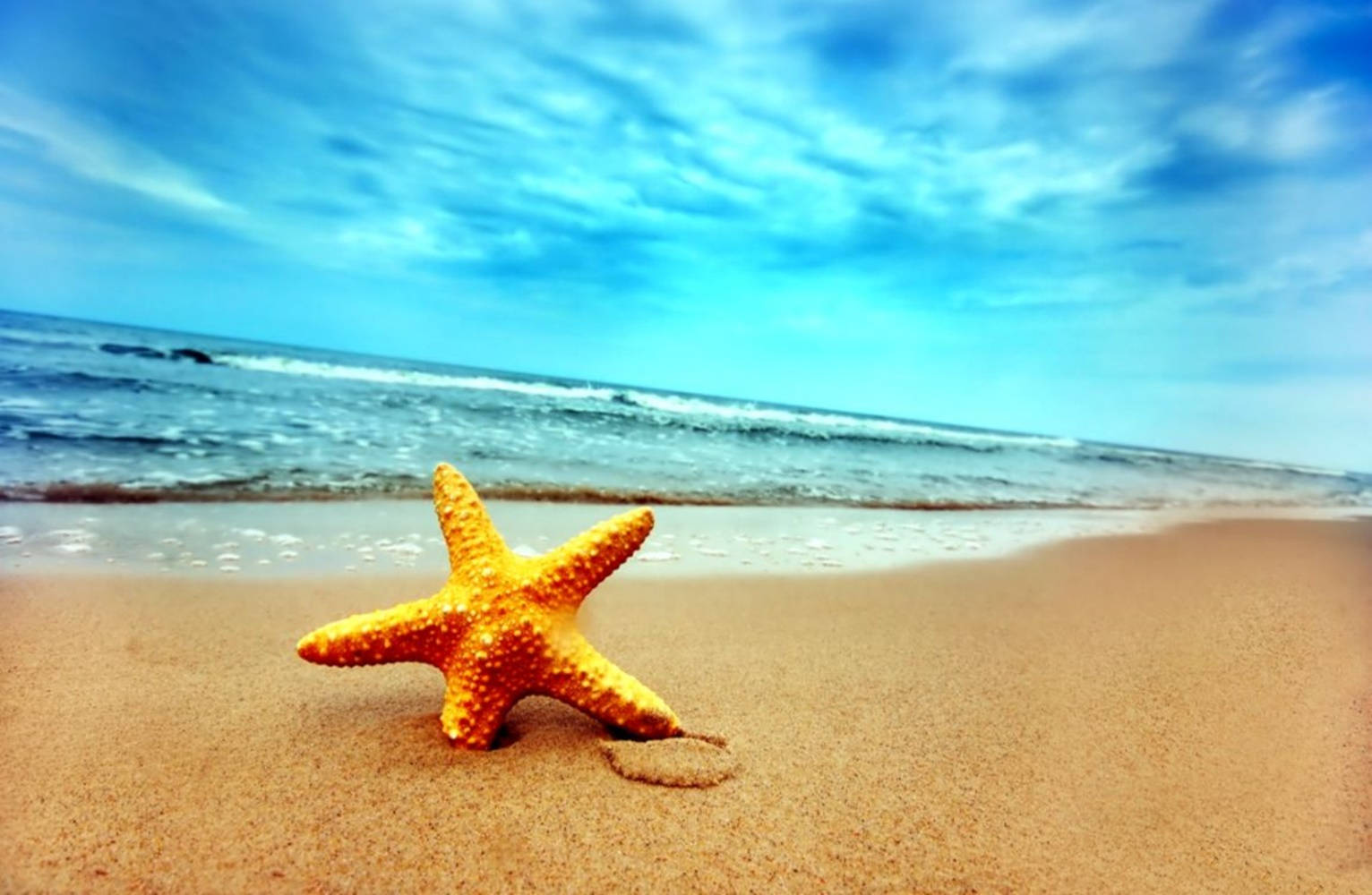 Orange Starfish Blue Sky Wallpaper