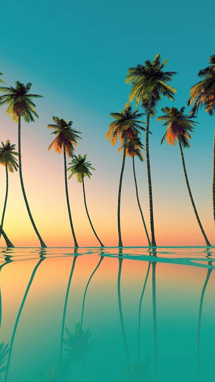 Palm Summer Trees Portrait Wallpaper