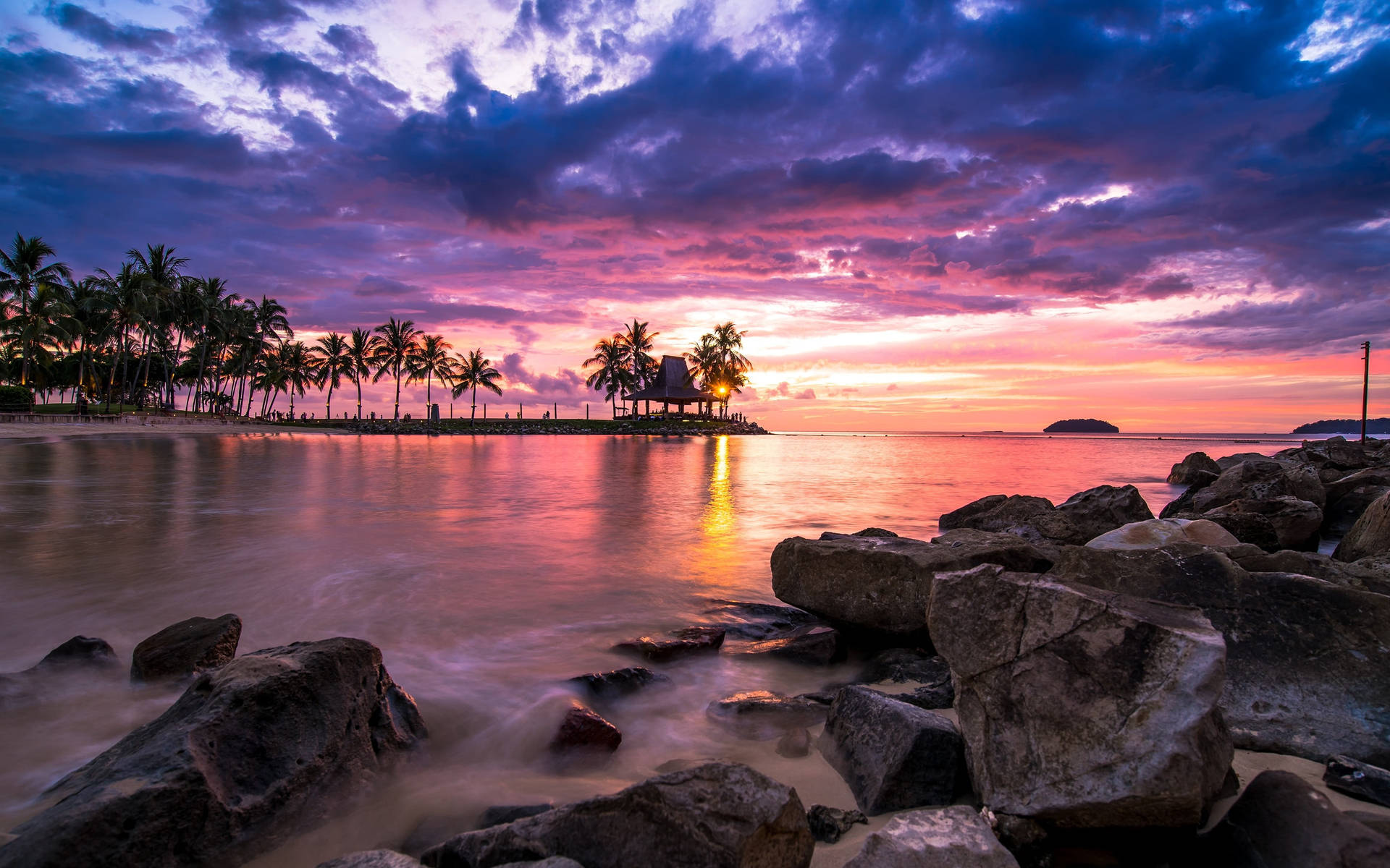 Palm Tree Sunset Beach Rocks Wallpaper