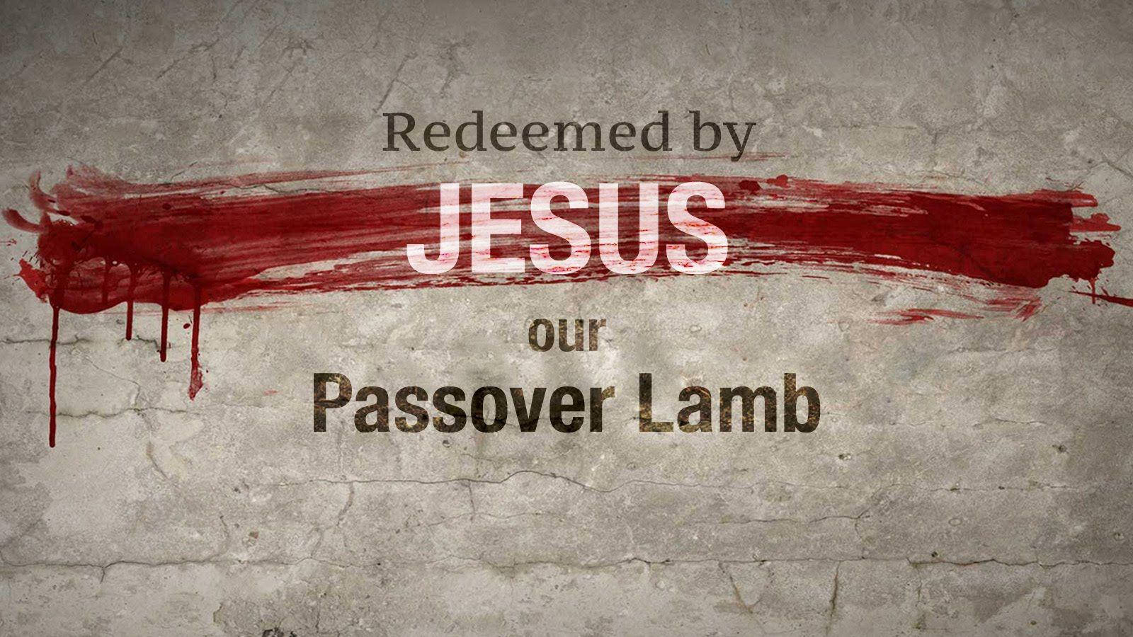 Passover Lamb Jesus Wallpaper