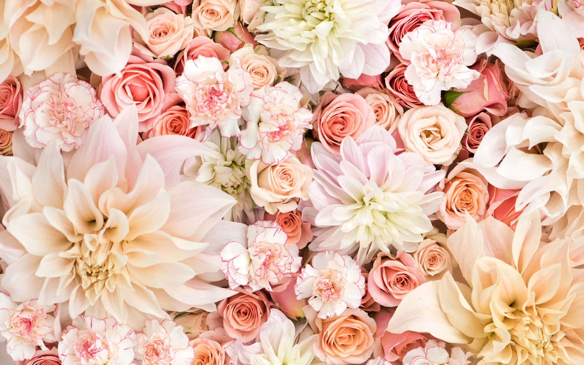 Pastel Pink Aesthetic Flowers Laptop Wallpaper