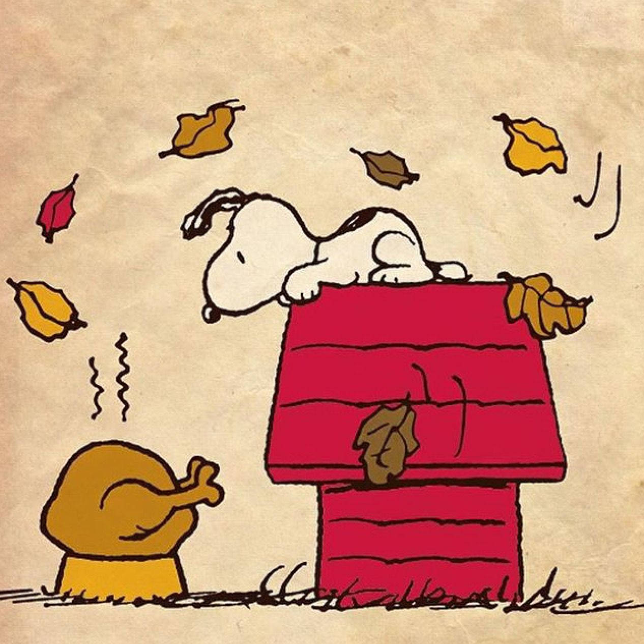 Peanuts Thanksgiving Turkey In Bowl Wallpaper