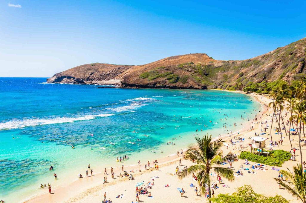 People On Oahu Beach Wallpaper