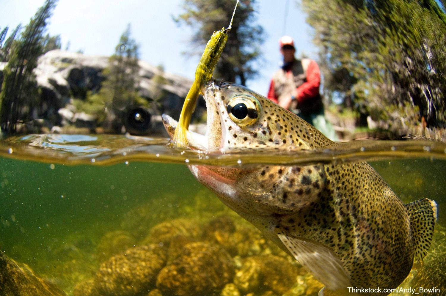 Picture Fisherman Catching A Big Bass In The Fishing Lake Wallpaper