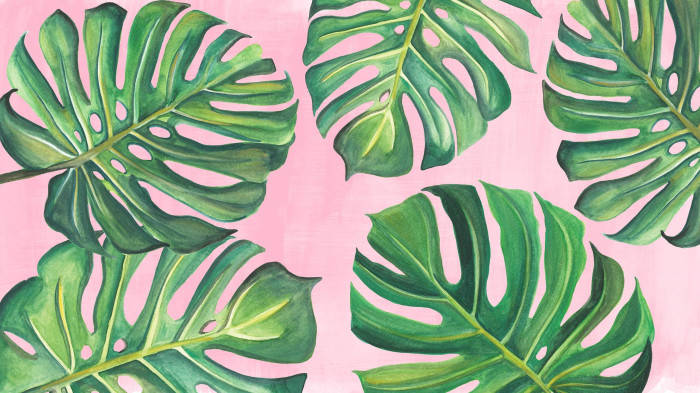 Pink Backdrop Monstera Leaves Aesthetic Wallpaper