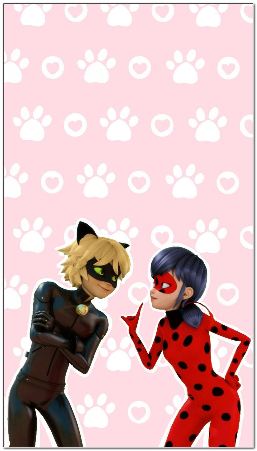 Pink Ladybug And Cat Noir Phone Wallpaper