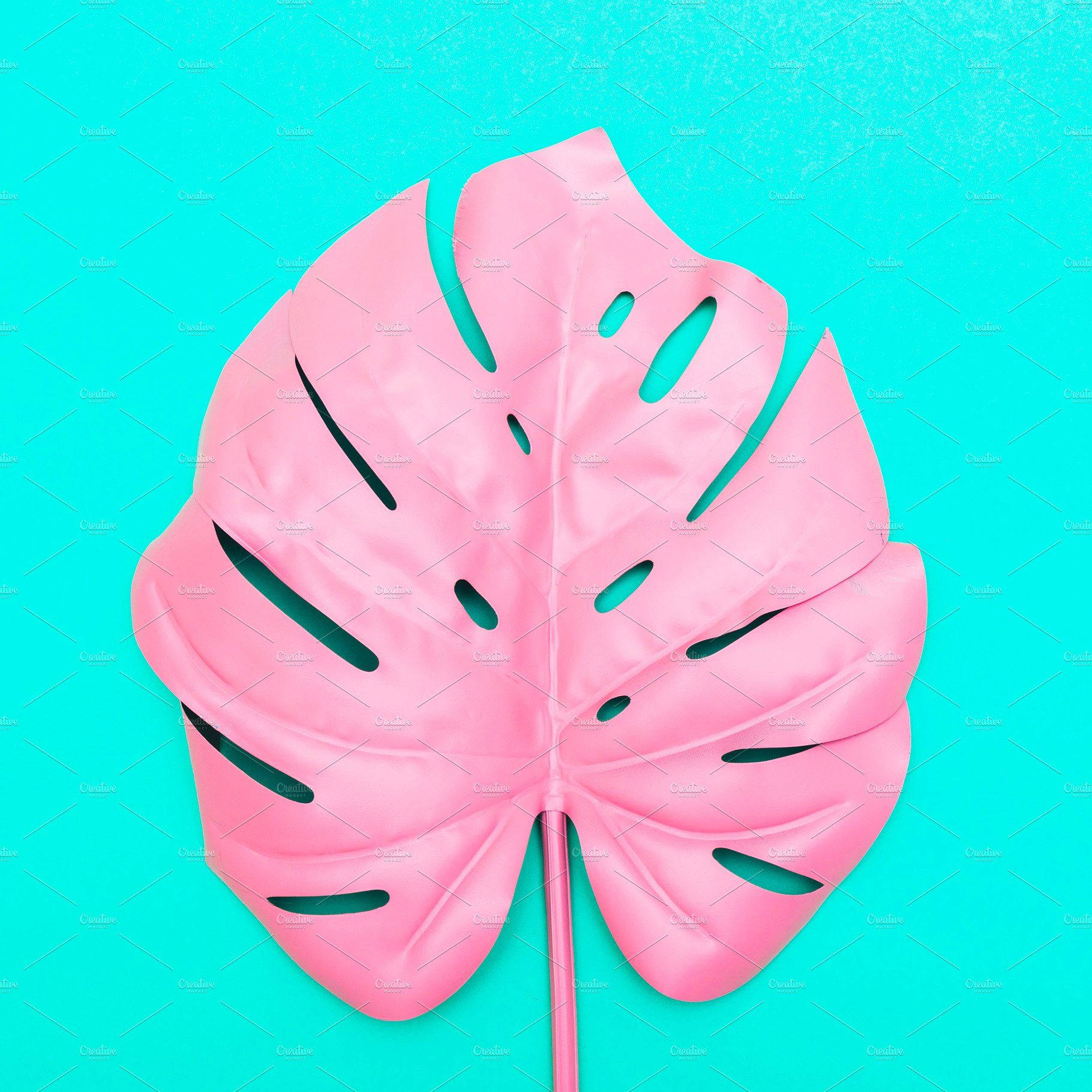 Pink Monstera Leaf Standing Out On A Vivid Blue Background Wallpaper