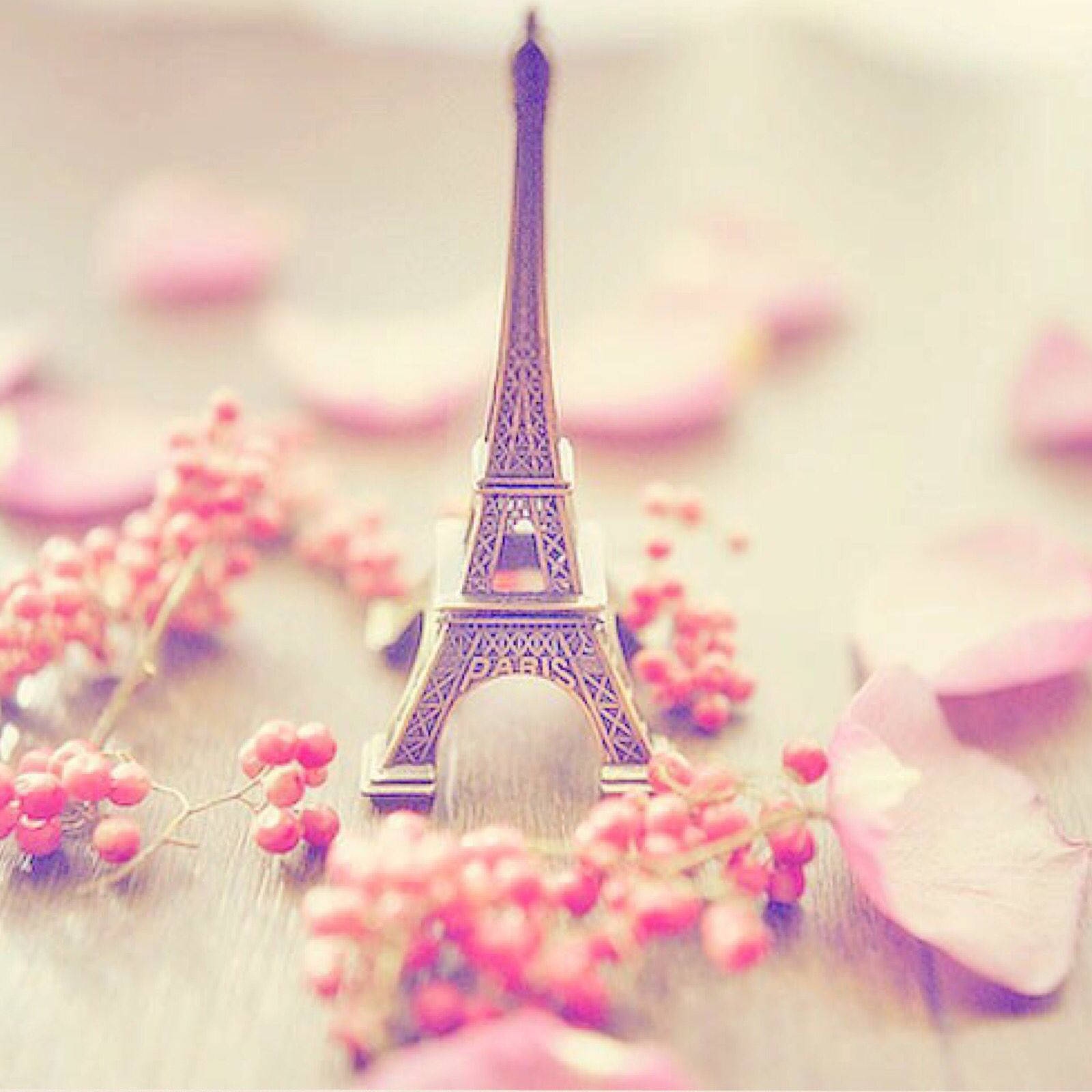 Pink Paris Ornament Wallpaper