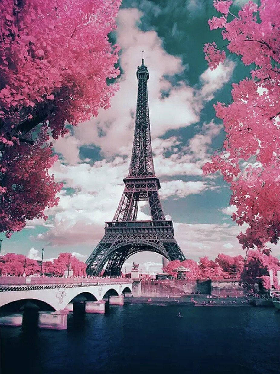 Pink Paris Trees With Eiffel Tower Wallpaper