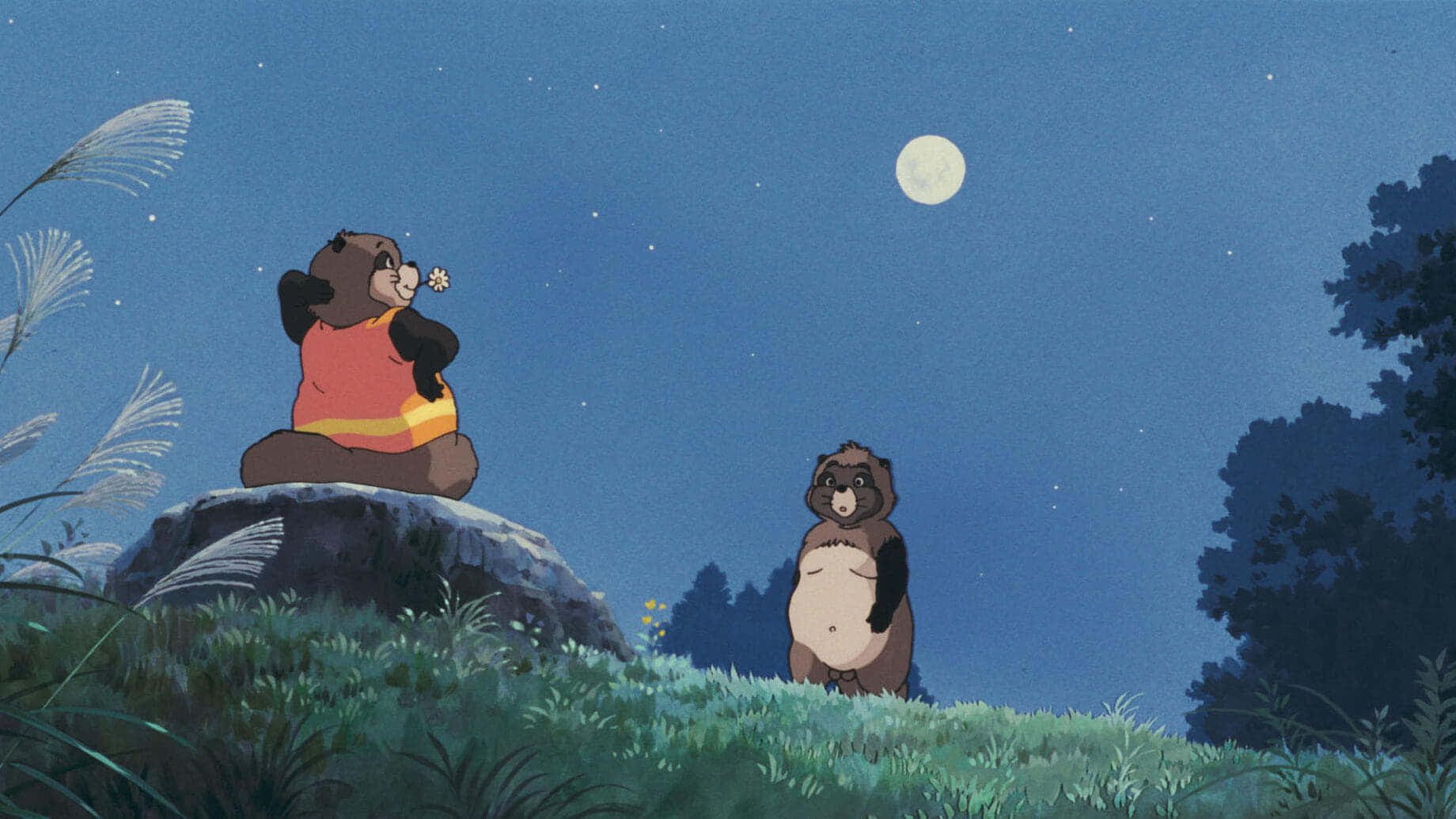 Pom Poko - A Beautiful Scene Of The Transformation Powers Of Tanuki Wallpaper