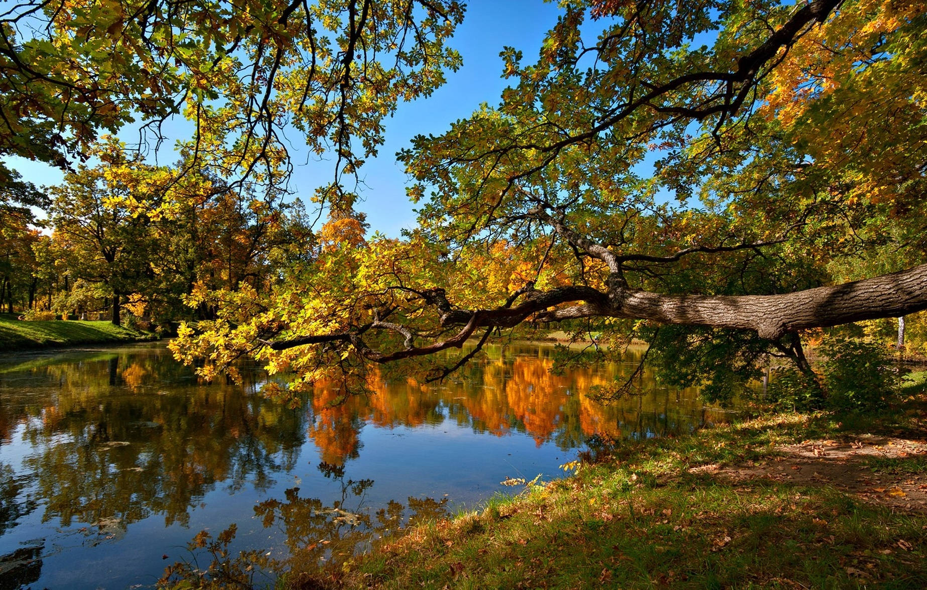 Pond And Trees On Autumn Or Fall Wallpaper