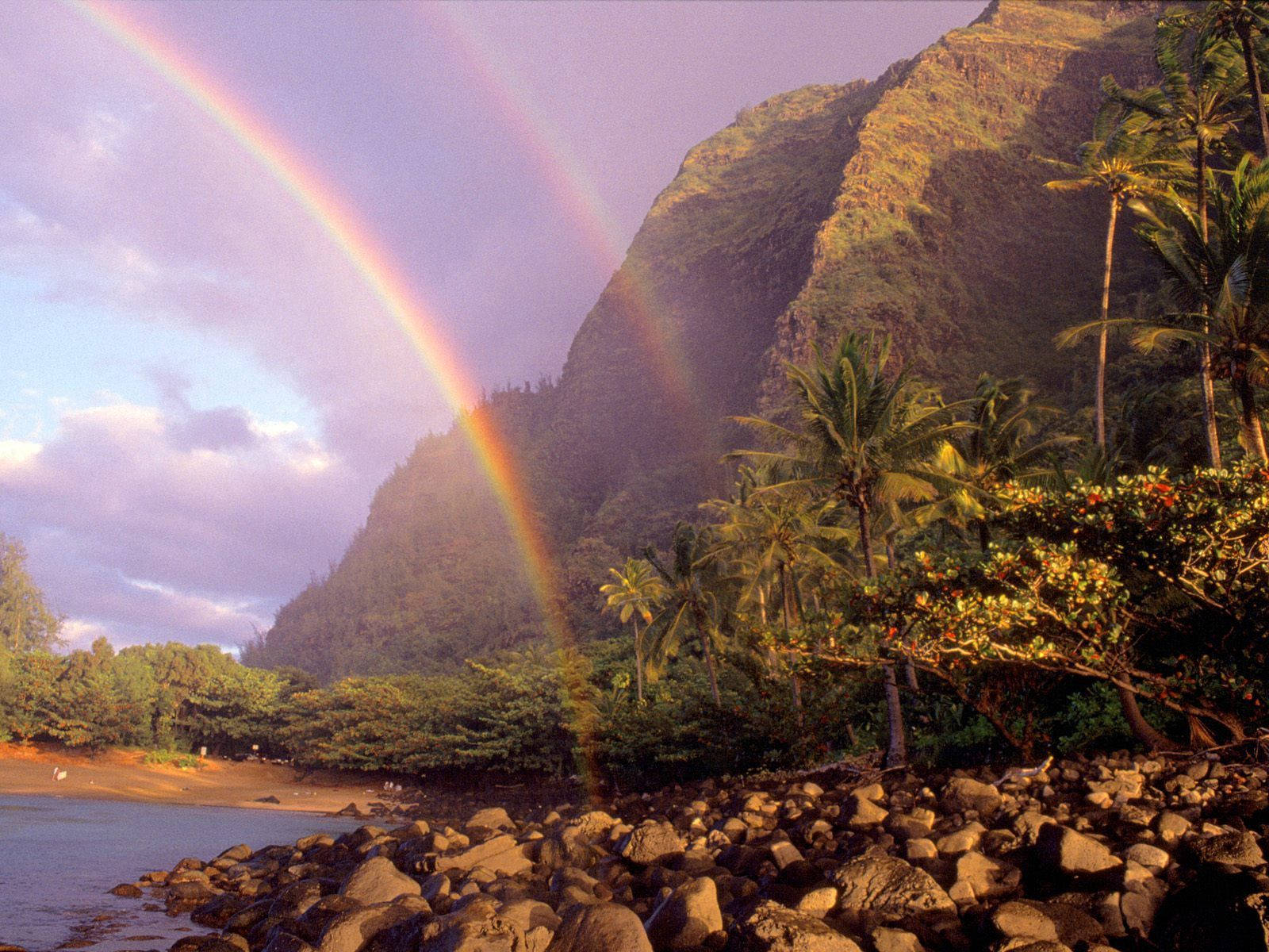 Preview Wallpaper Rainbow, Sky, Stones, Clouds, Palm Trees, Coast, Hawaii Wallpaper