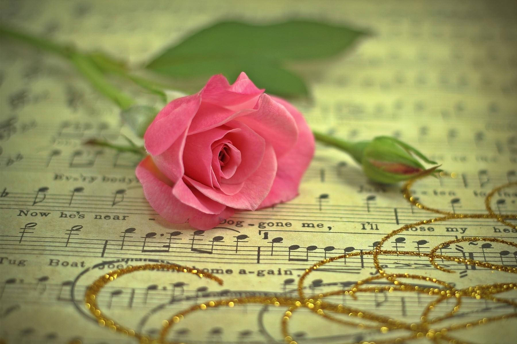 Preview Wallpaper Rose, Flower, Music, Thread, Gold Wallpaper