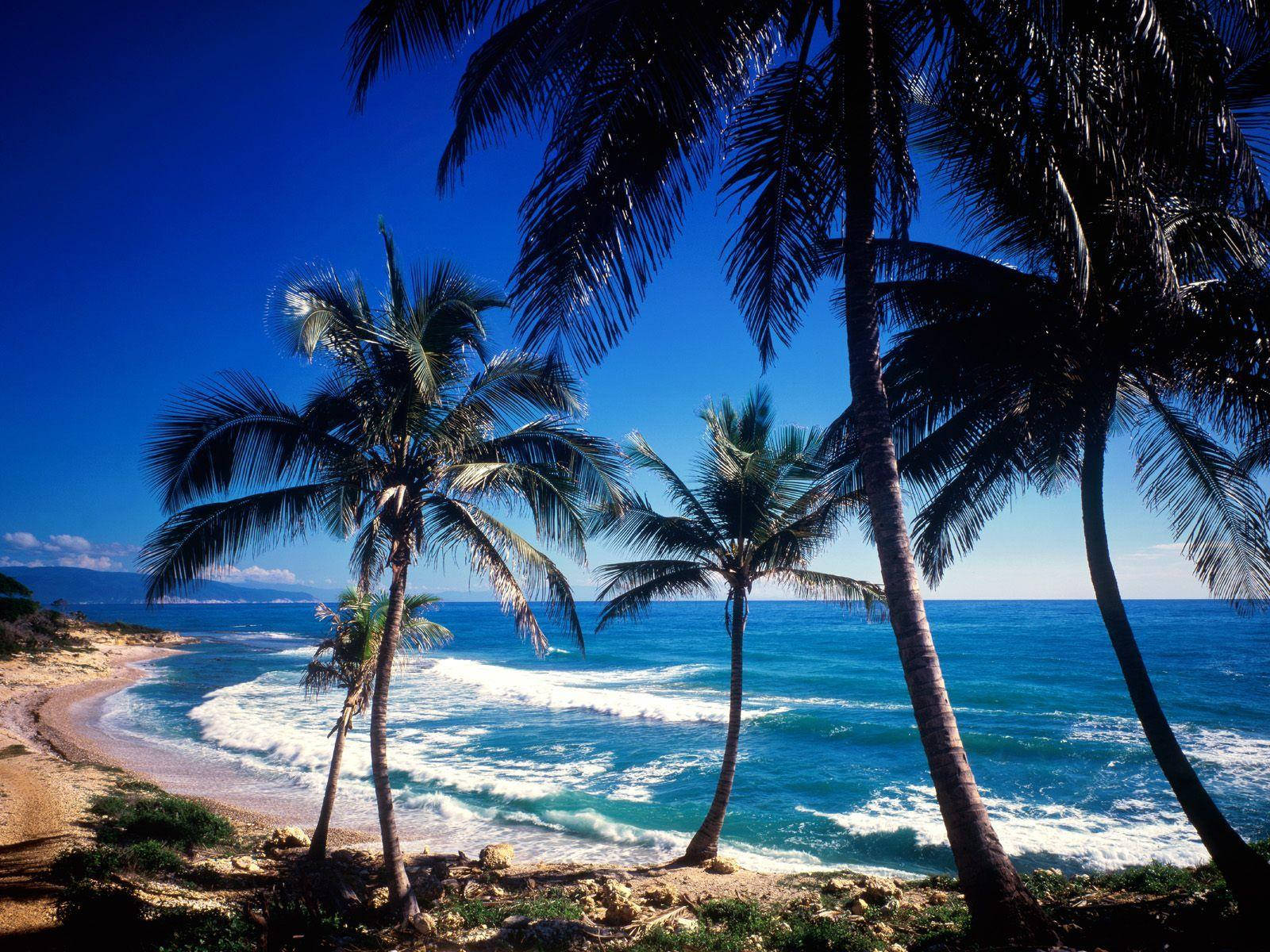 Pristine Beach Of The Dominican Republic Wallpaper