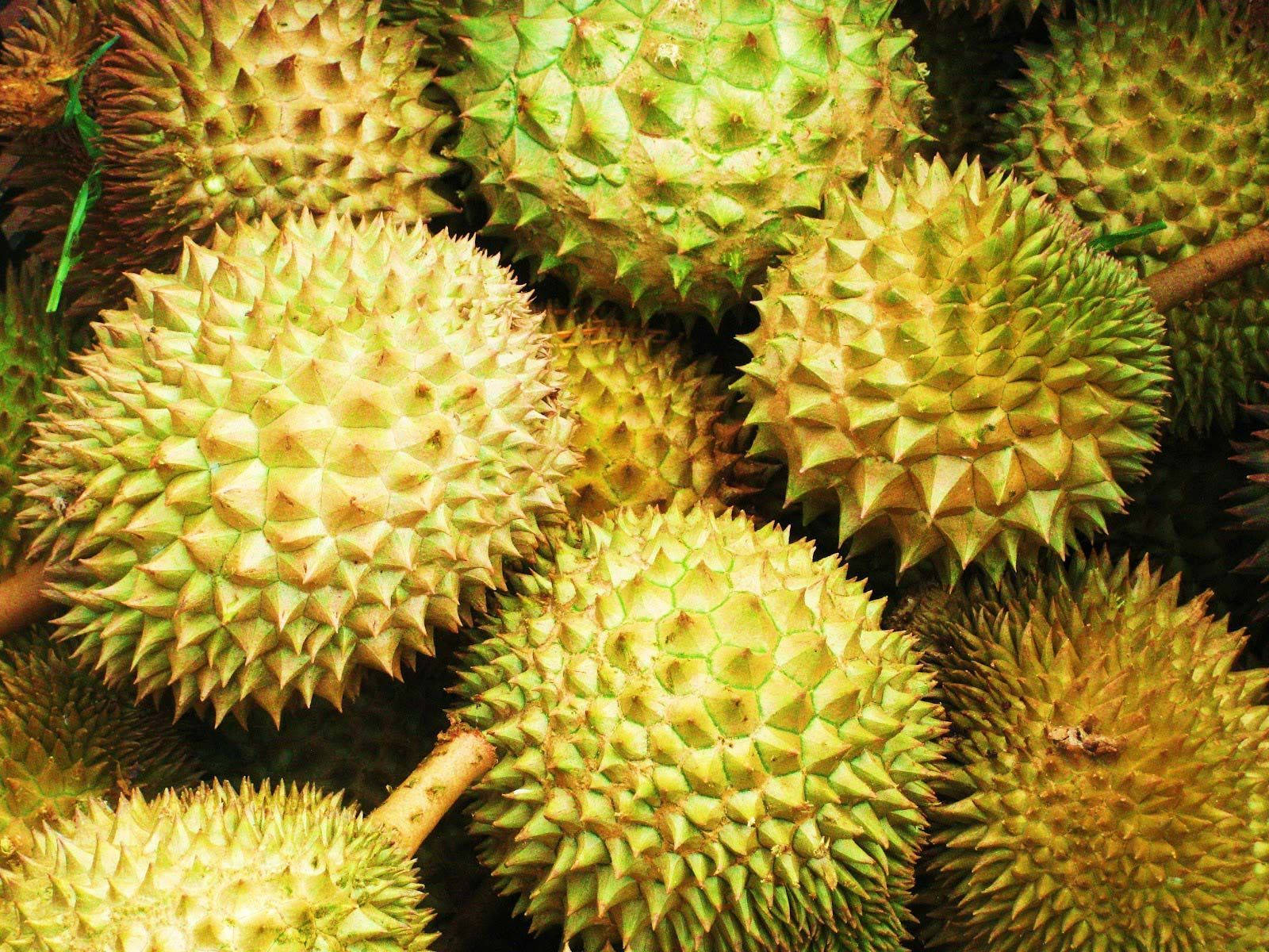 Pristine Harvested Durians Ready To Eat Wallpaper