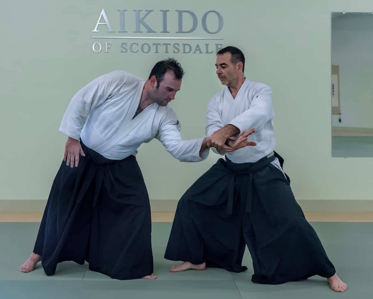 Professional Aikido Instructor Demonstrating The Nikyo Technique Wallpaper