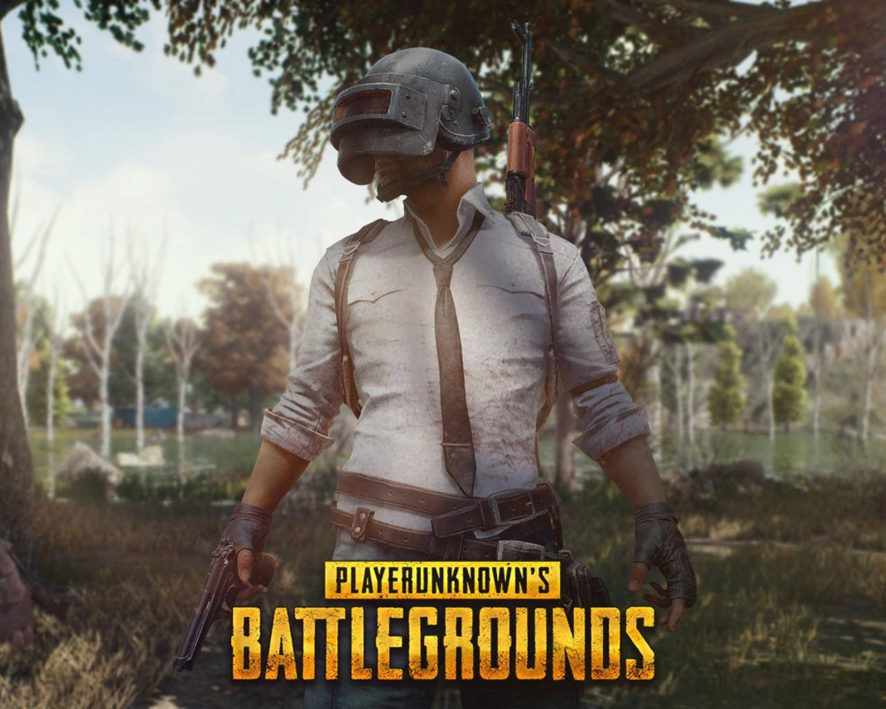 Pubg Full Screen Battlegrounds Wallpaper