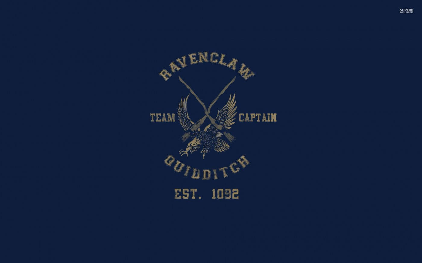 Ravenclaw Quidditch Harry Potter Ipad Wallpaper