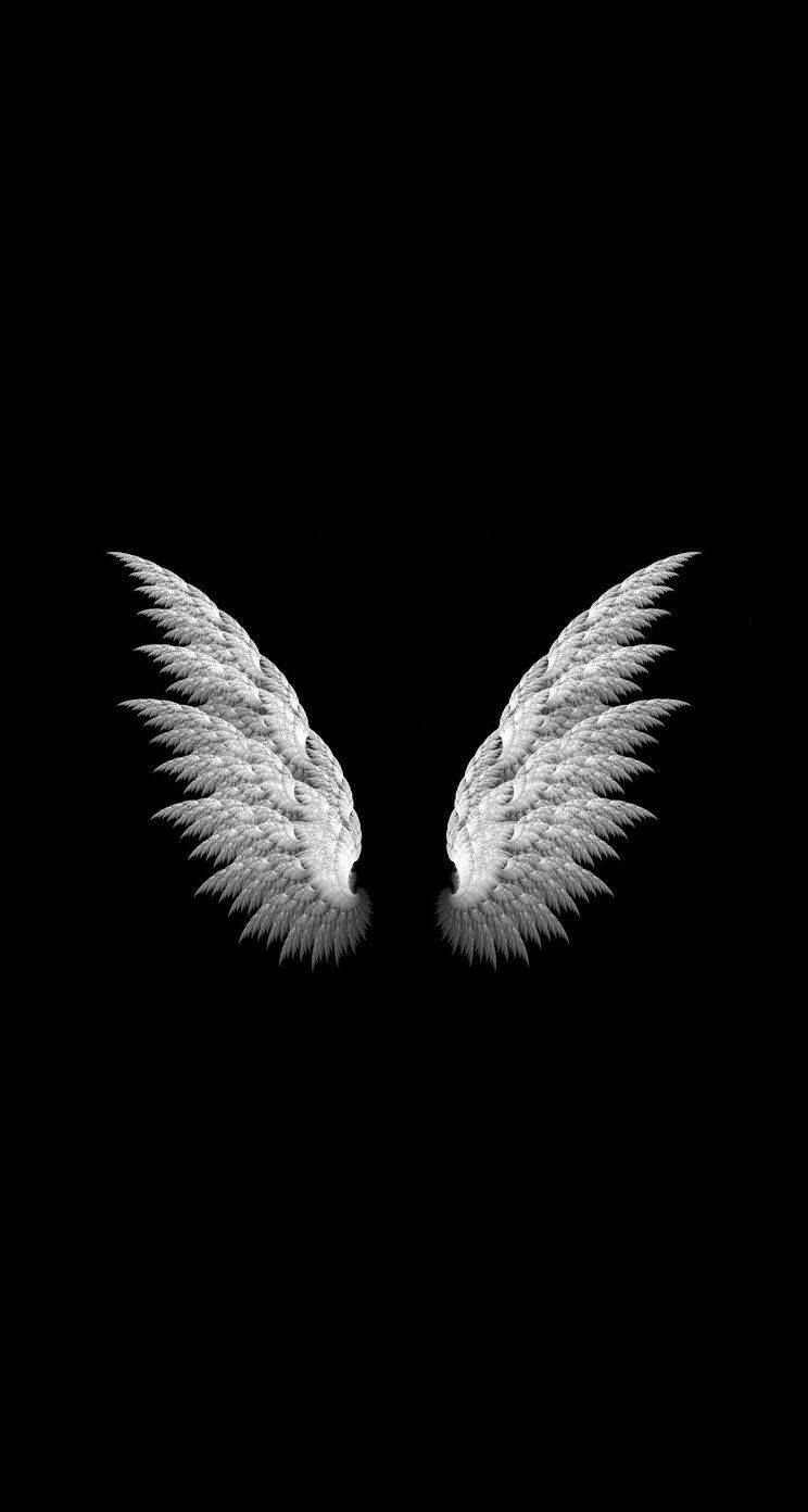 Realistic White Angel Wings Pair Isolated Wallpaper