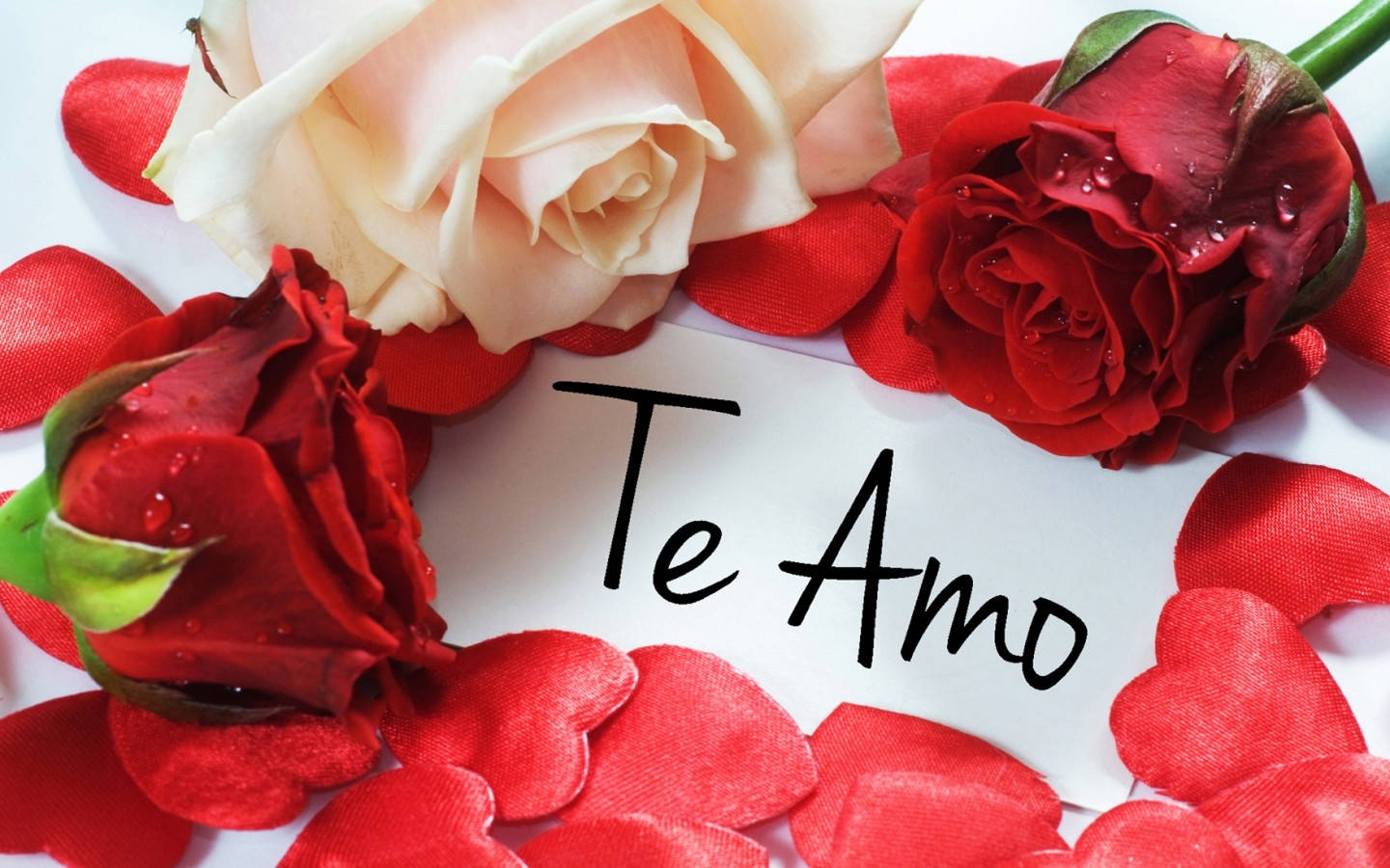 Red And White Rose Te Amo Wallpaper