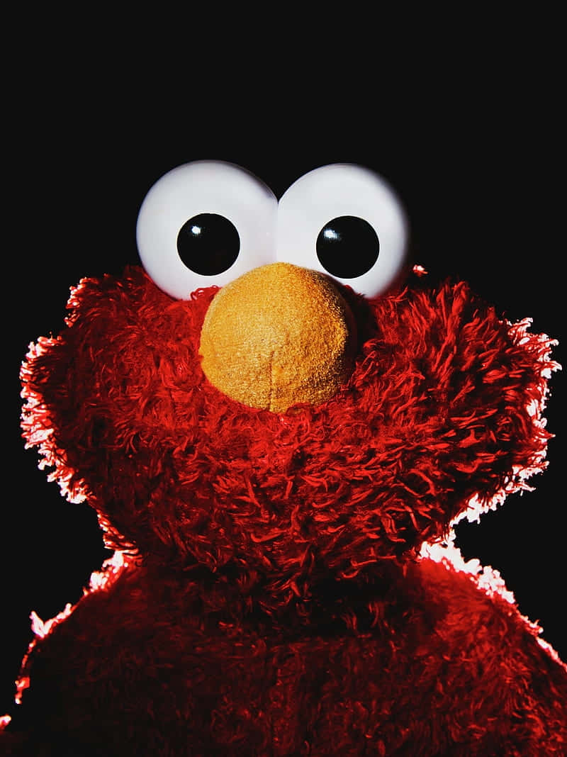 Red Furry Muppet Portrait Wallpaper