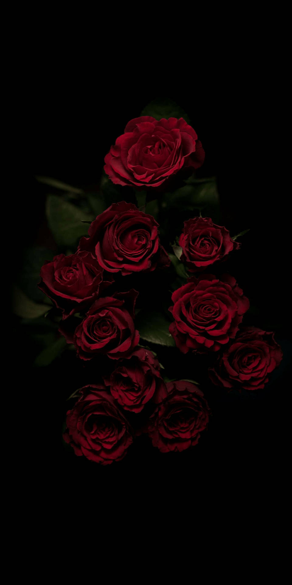 Red Roses Dark Hd Flowers Wallpaper