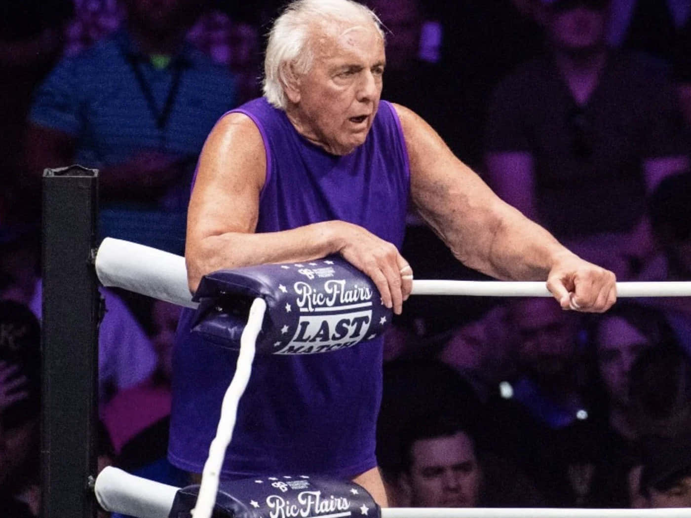 Ric Flair During Match Wallpaper