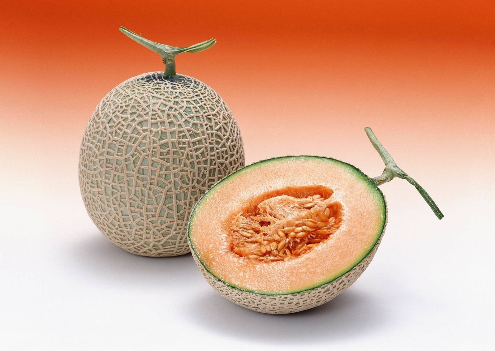 Ripe Cantaloupe Wallpaper