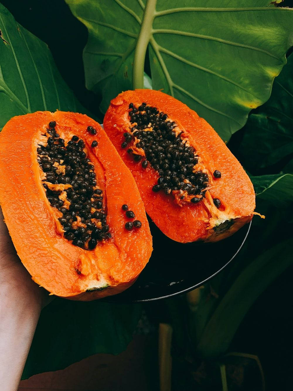 Ripe Papaya Fruits And Leaves Wallpaper