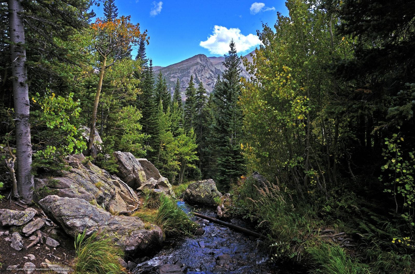 Rocky Mountain National Park Bubbling Brook Wallpaper