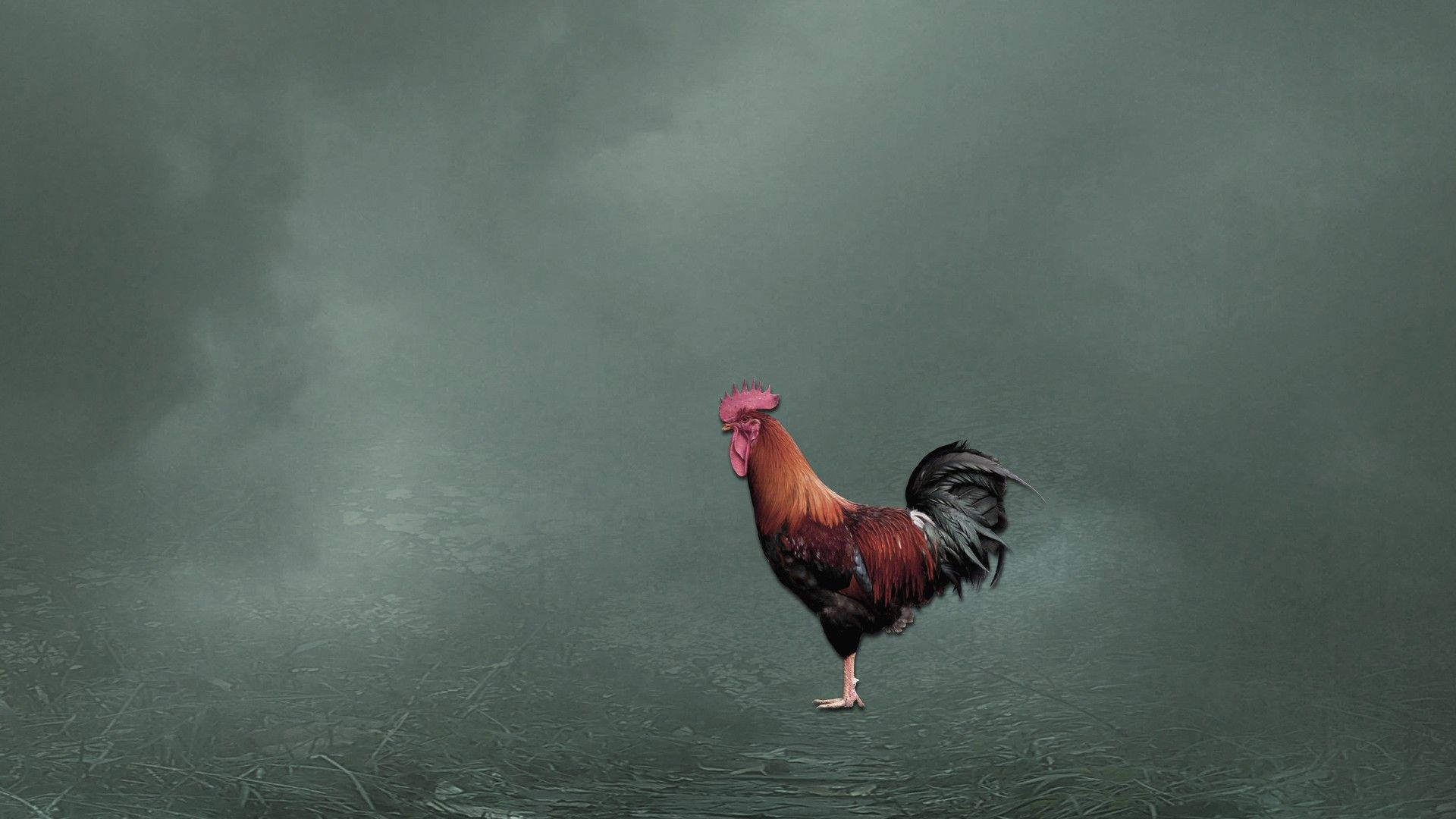 Rooster In Smoky Barnyard Wallpaper