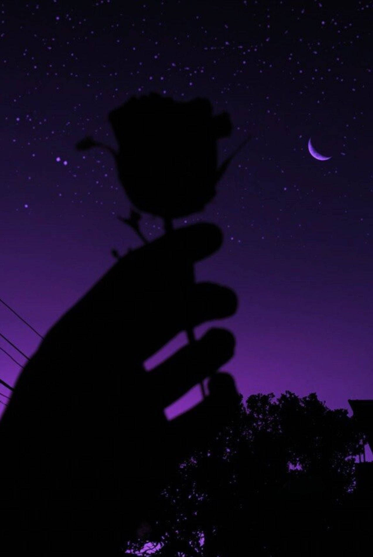 Rose Silhouette Dark Purple And Black Wallpaper