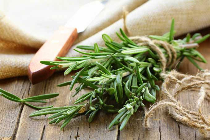 Rosemary Bundle Tied On Wooden Surface Wallpaper