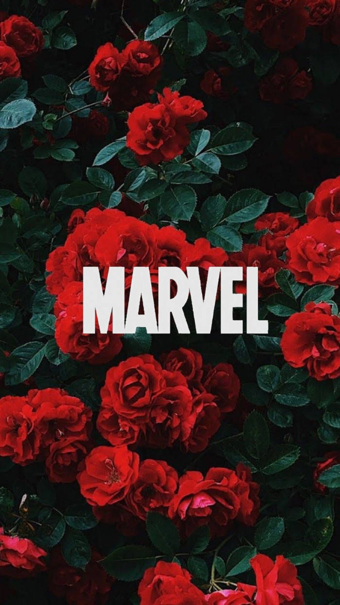 Roses Marvel Aesthetic Wallpaper