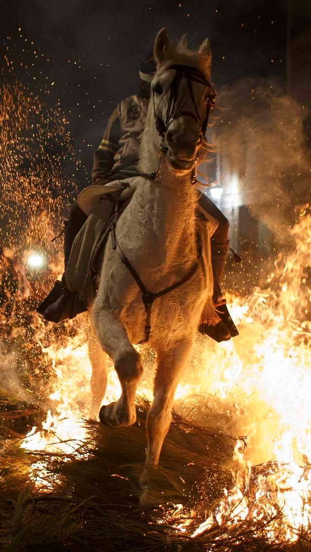 Running Through Fire Horse Iphone Wallpaper