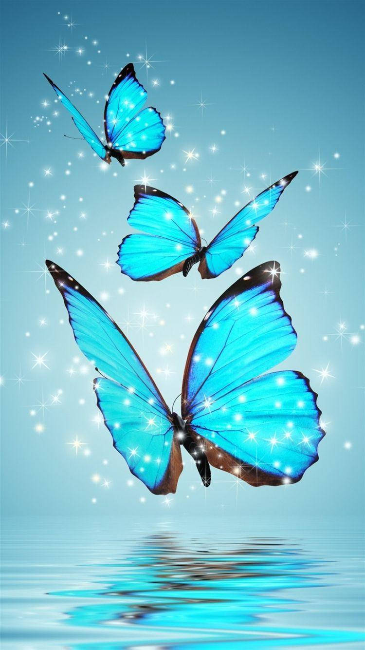 Samsung Galaxy S6 Edge Butterflies Wallpaper