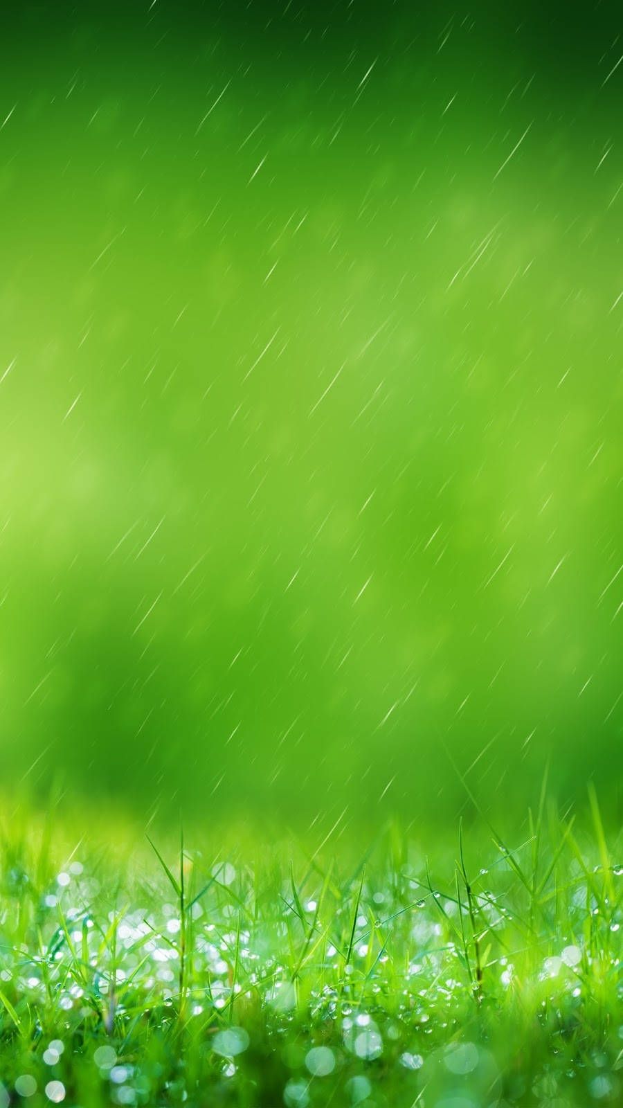 Samsung Galaxy S7 Edge Grassy Field Wallpaper