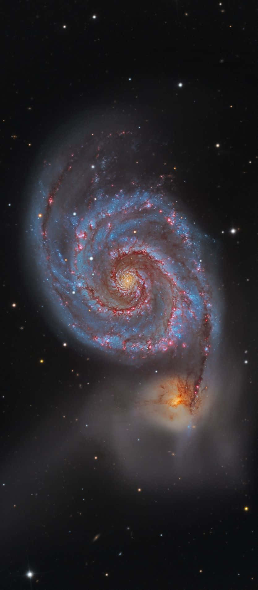 Samsung M51 834 X 1906 Wallpaper