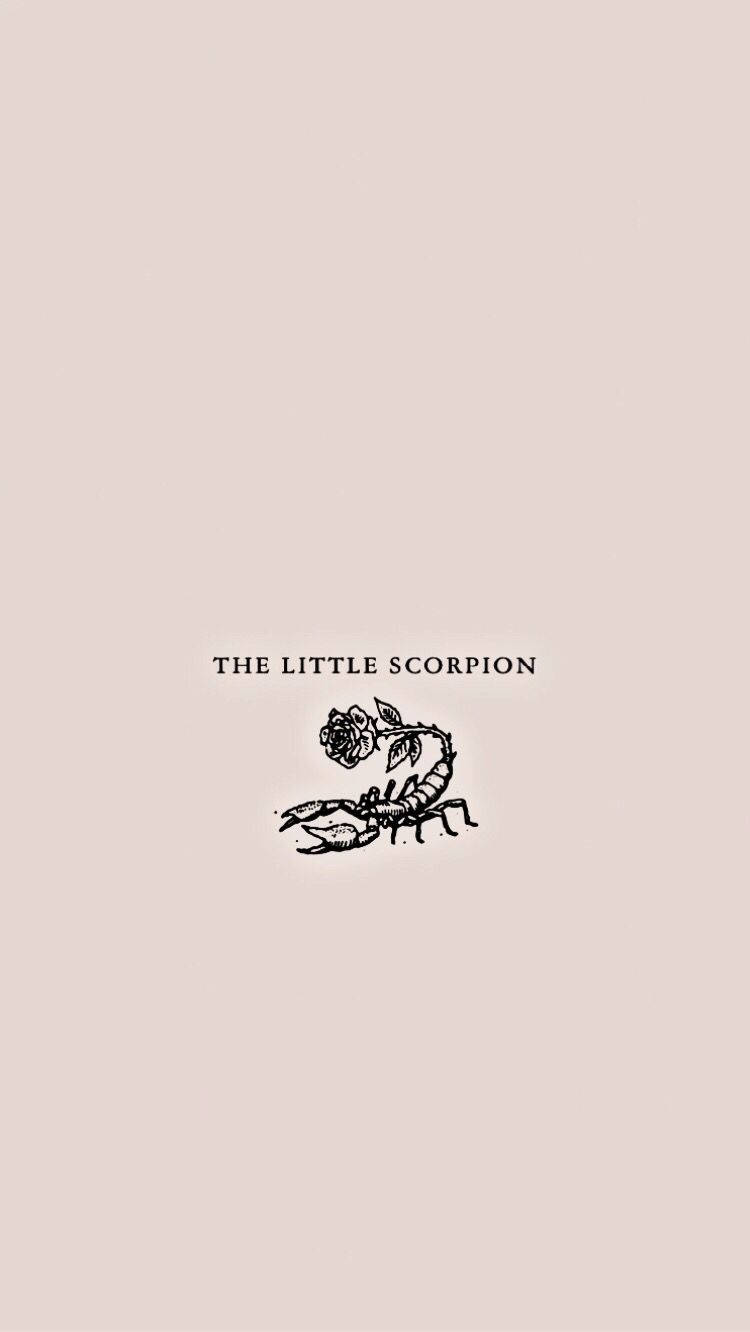 Scorpion The Little Scorpion Rose Wallpaper