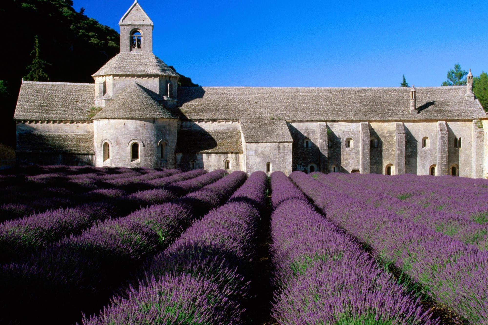 Sénanque Abbey Lavender Desktop Wallpaper