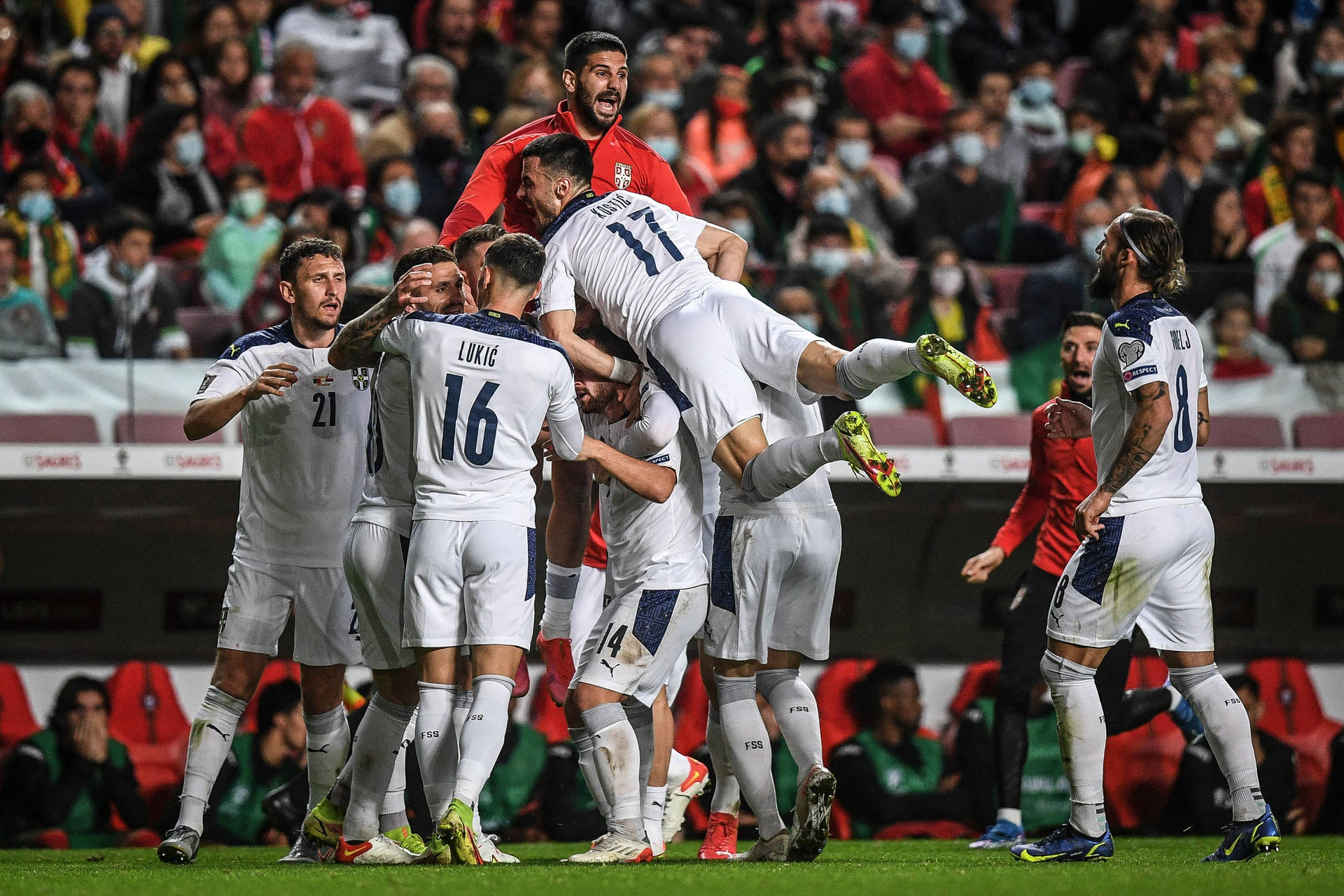 Serbia National Football Team Field Celebration Wallpaper