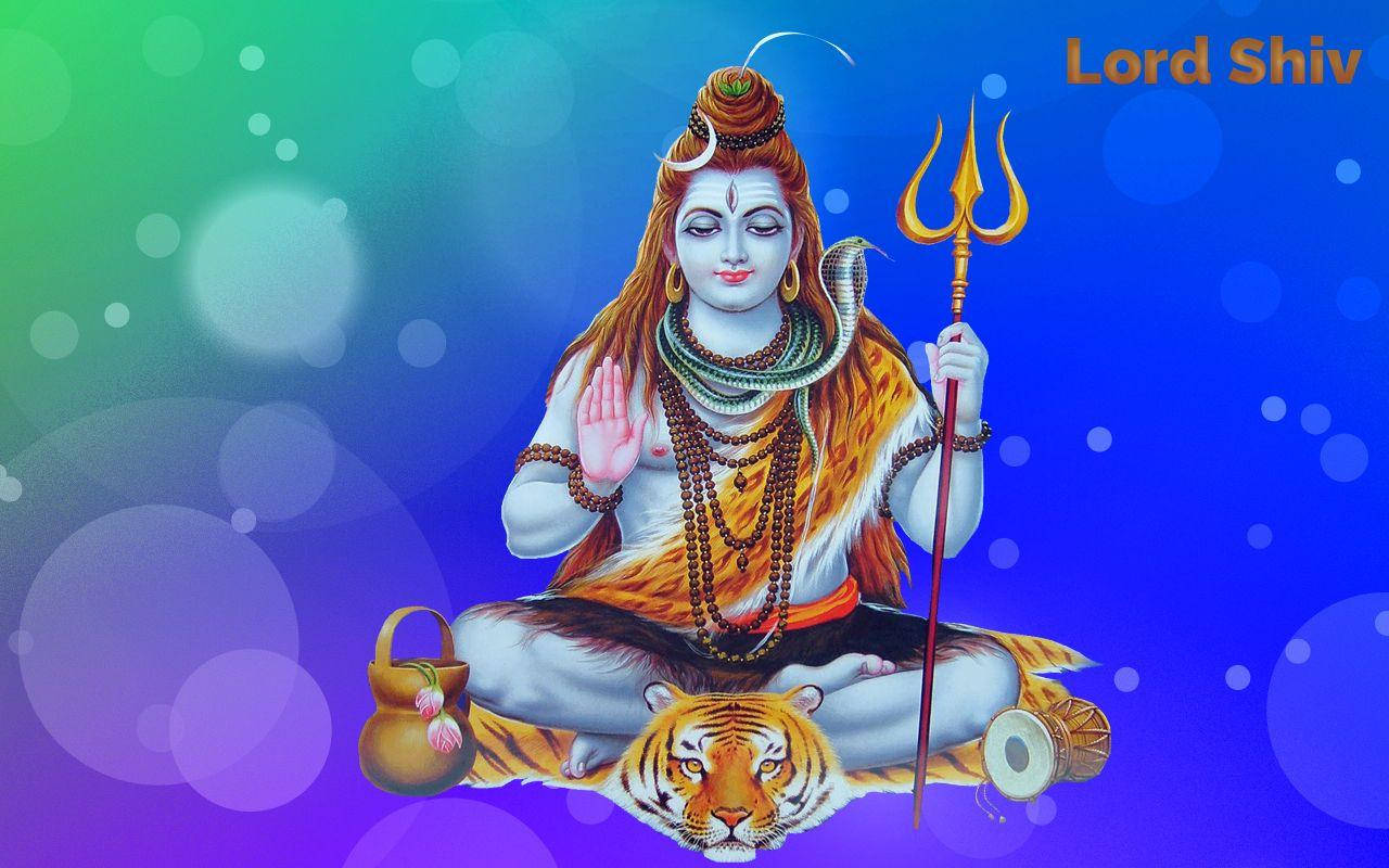 Shankar Bhagwan Shiva Sits On Tiger With Colorful Backdrop Wallpaper