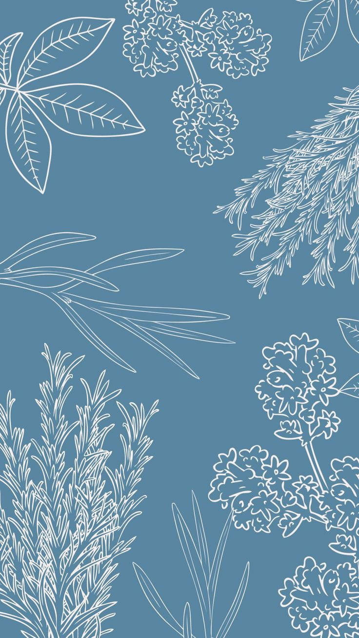 Simple Blue Aesthetic Plant Art Wallpaper