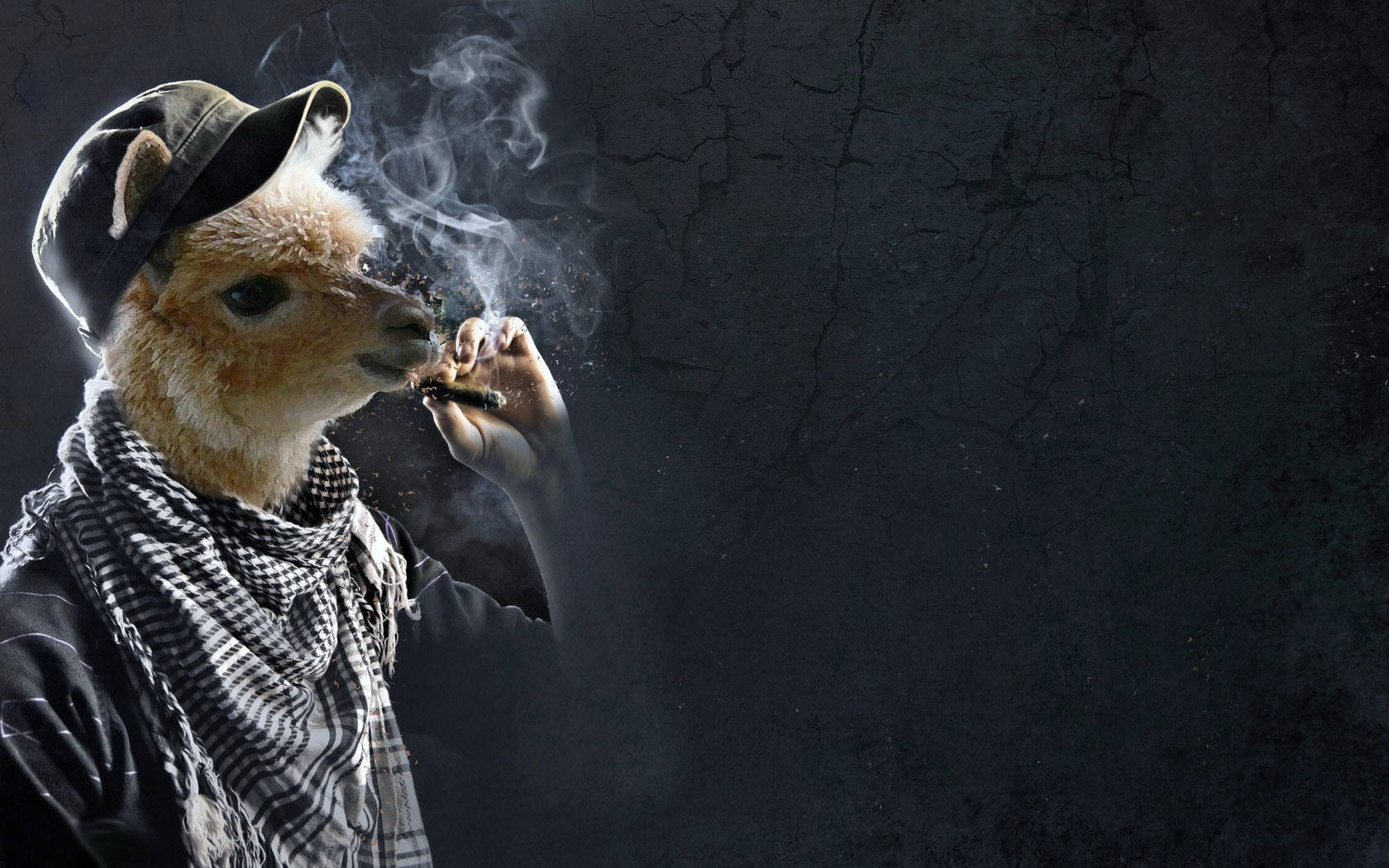 Smoking Llama Wallpaper